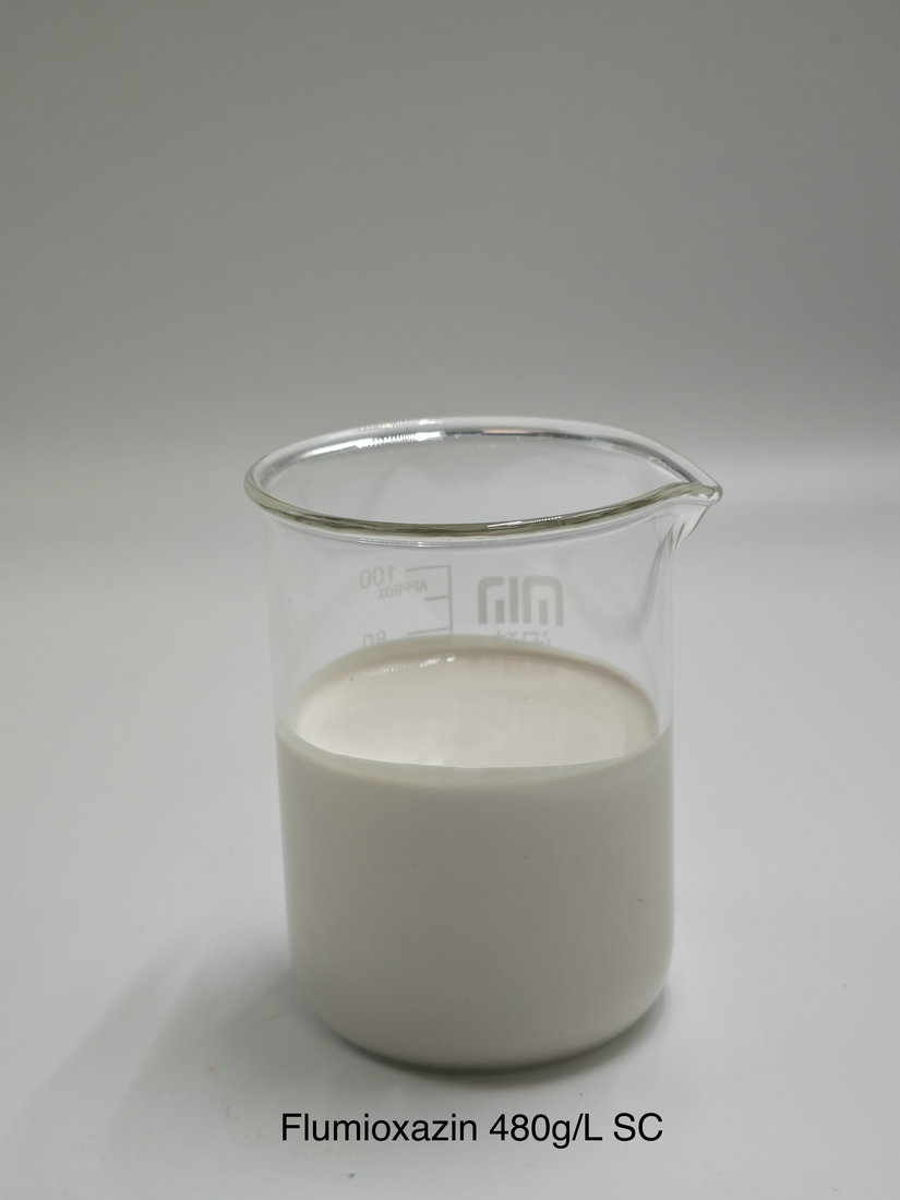 Flumioxazin 480g/L SC